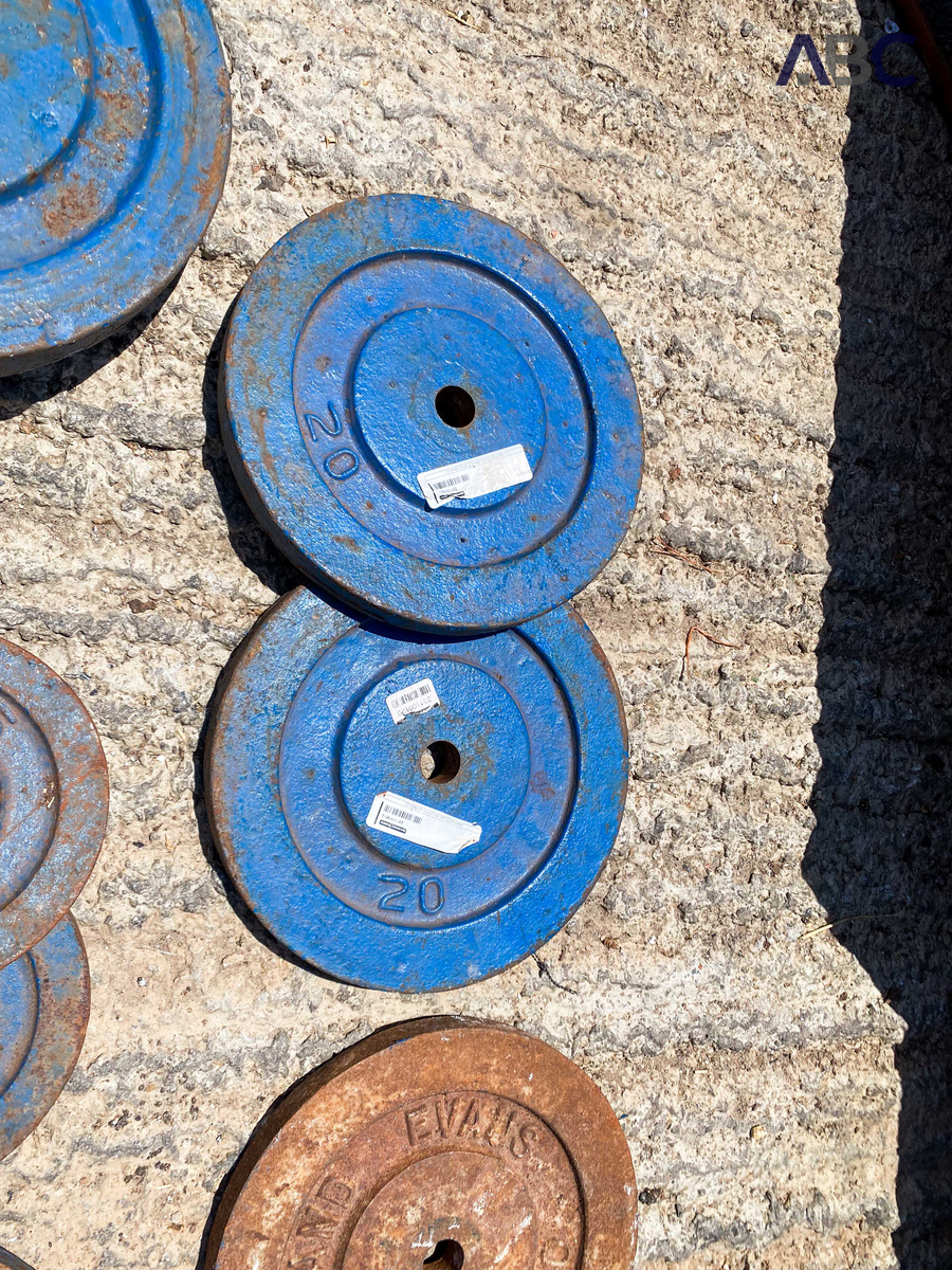 Assorted Fitness Bench Frames & Weights Metal (1 Lot)