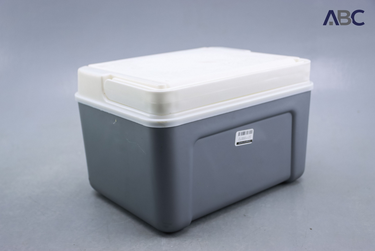Formosa Cooler Box (8L) (1)