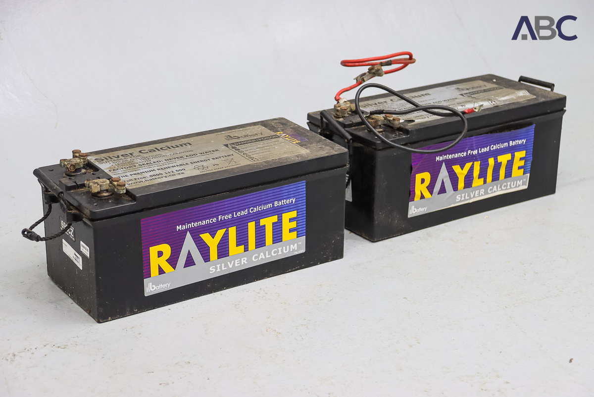 Raylite Solar Batteries (2)
